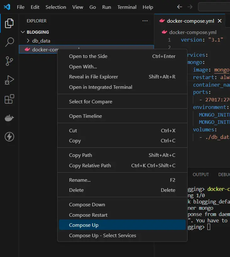 MongoDB on Your Local Machine Using Docker using vscode extension